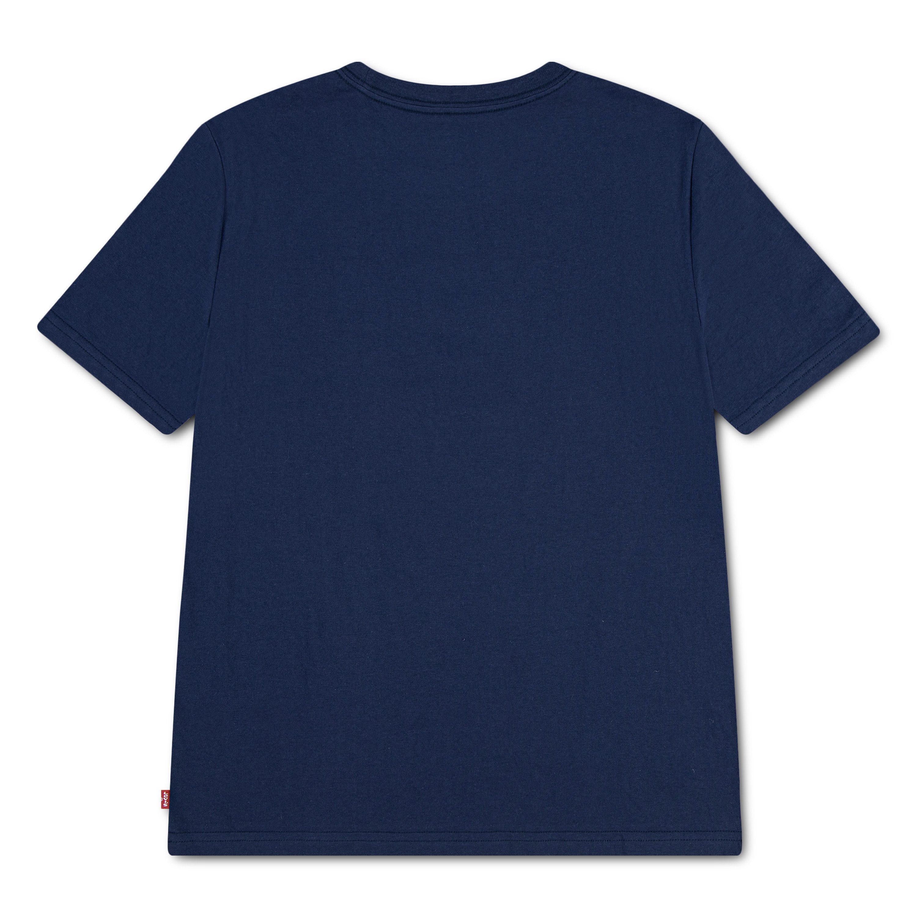 Levi's® Kids T-Shirt LVB SKATE BATWING TEE mit Fotoprint - for Boys