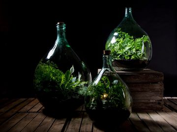 esschert design Übertopf Esschert Design Terrarium Flasche 15 Liter Set Glas Pflanzen Gewächs Haus Deko