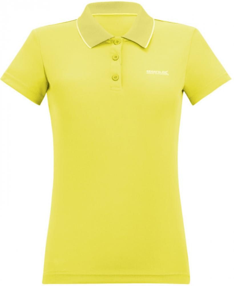Canary Yelw - ZYP