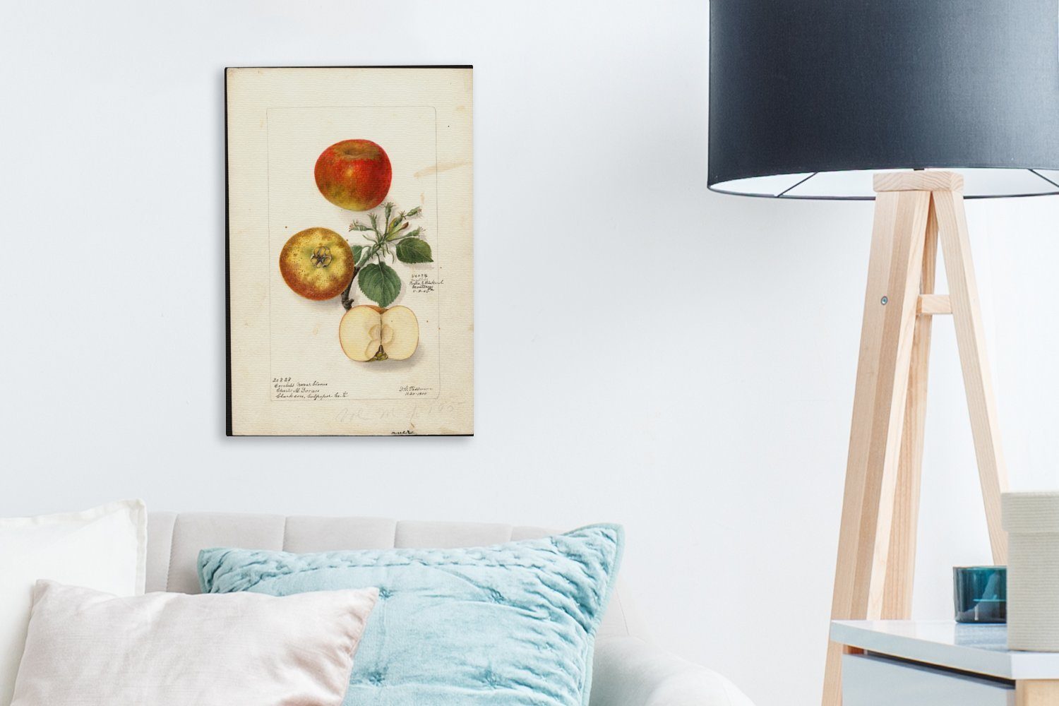 Äpfel (1 Deborah bespannt Griscom fertig Gemälde 20x30 - St), von inkl. Gemälde, Leinwandbild Zackenaufhänger, Leinwandbild Passmore, OneMillionCanvasses® cm