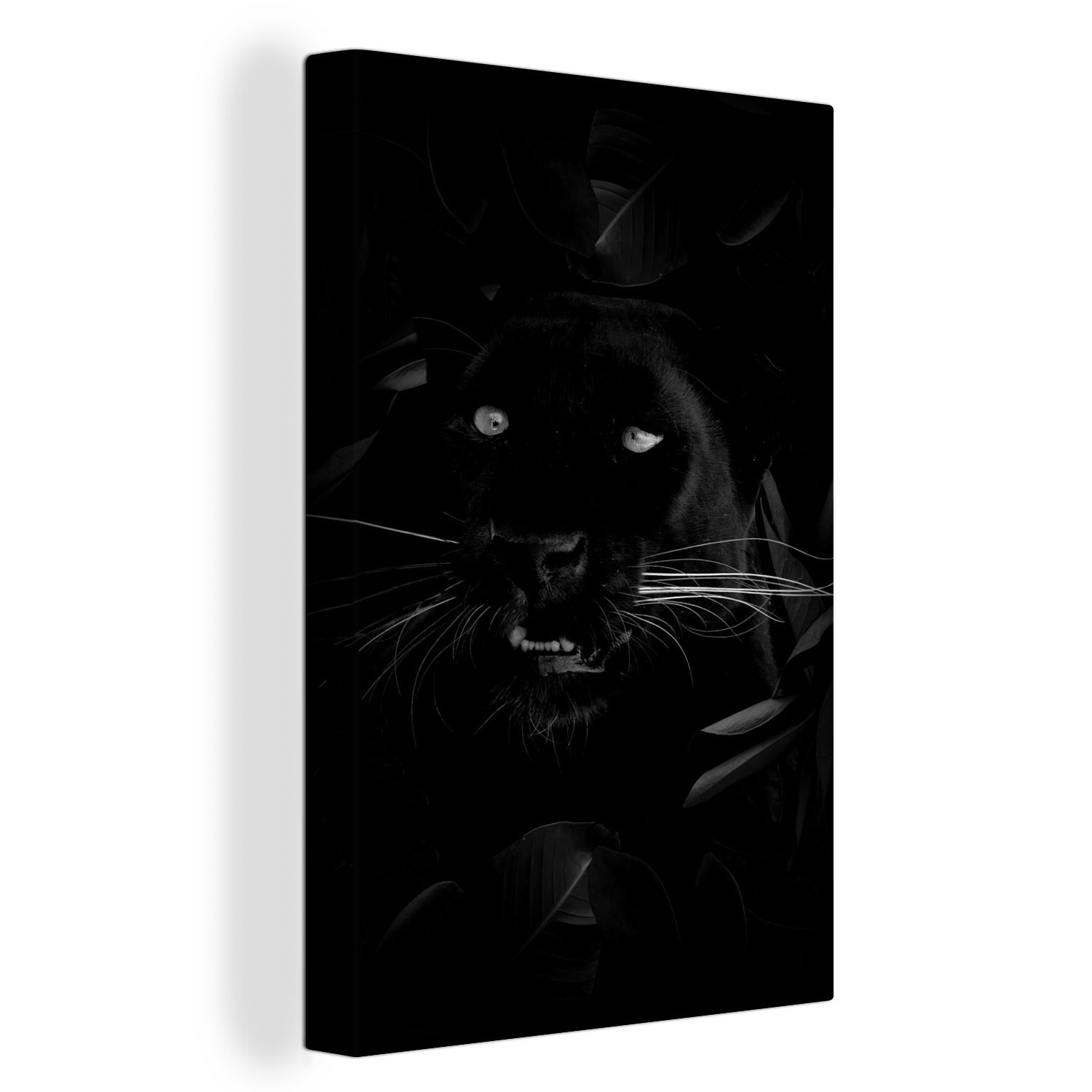 OneMillionCanvasses® Leinwandbild Botanischer Panther vor schwarzem Hintergrund - schwarz und weiß, (1 St), Leinwandbild fertig bespannt inkl. Zackenaufhänger, Gemälde, 20x30 cm