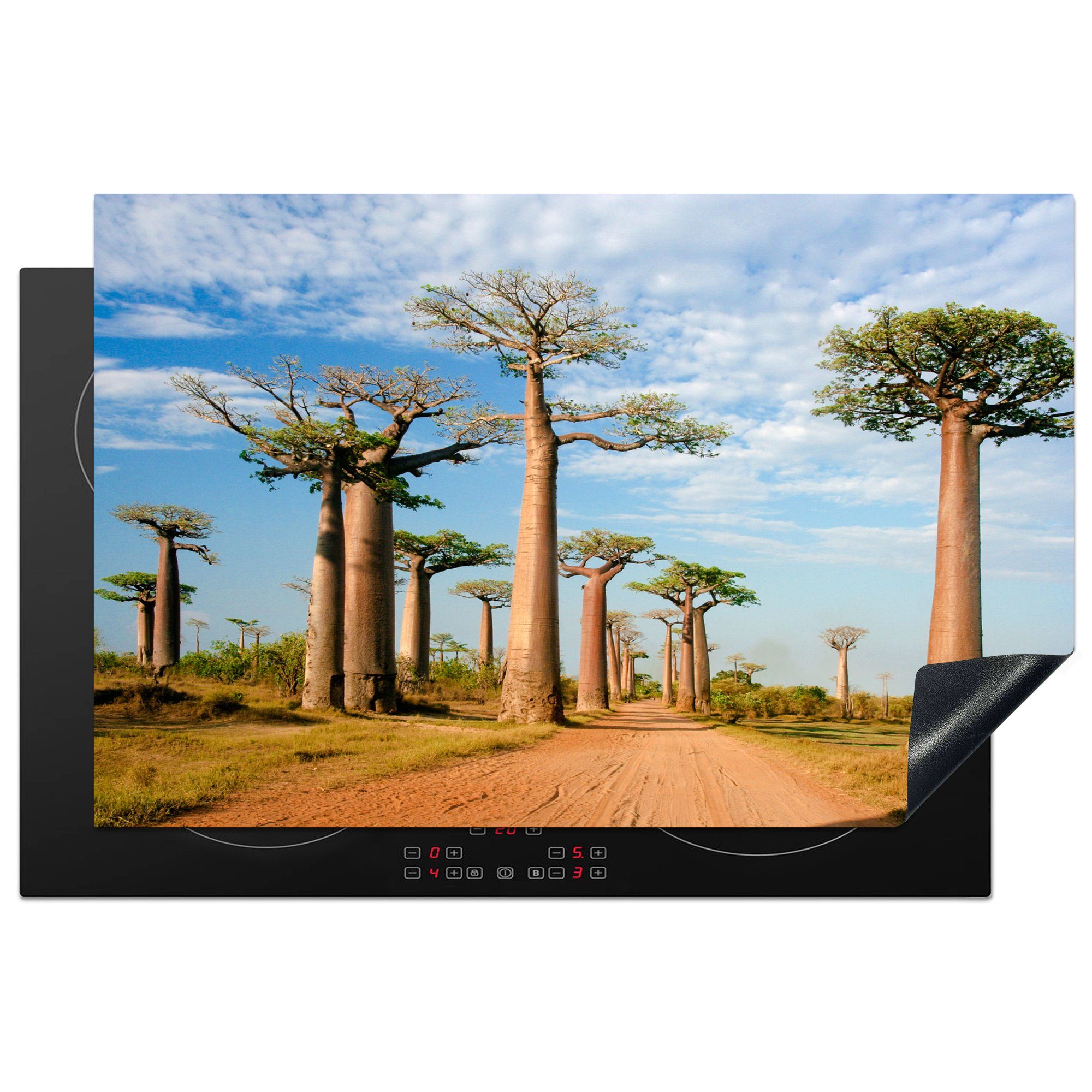 Induktionskochfeld Schutz 81x52 küche, tlg), MuchoWow Madagaskar, die (1 in Bäume Ceranfeldabdeckung cm, für Herdblende-/Abdeckplatte Vinyl,