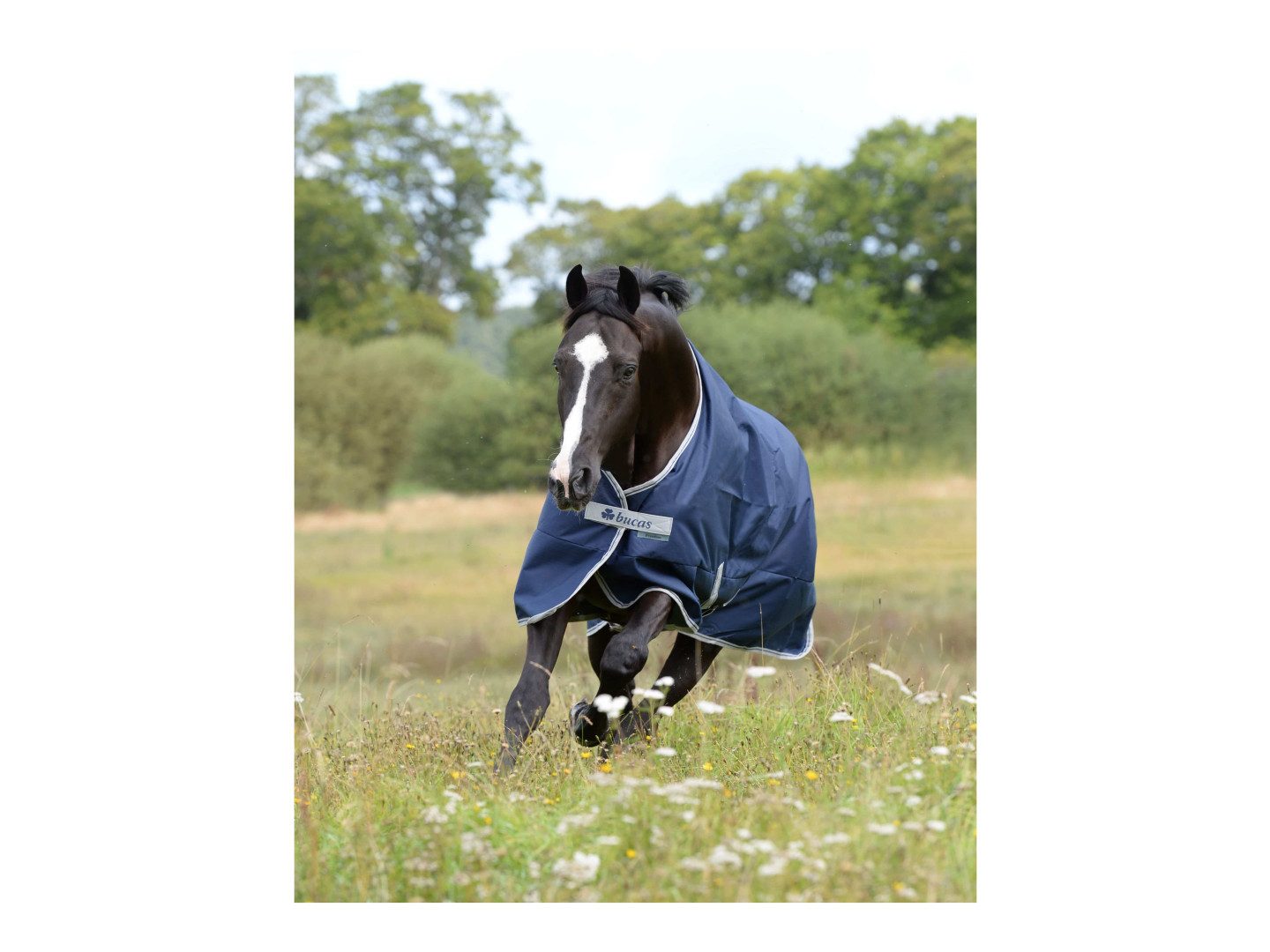 Bucas Ausreitdecke Outdoordecke Freedom Turnout 150g