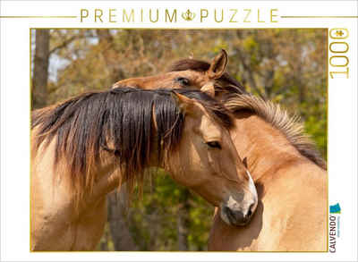 CALVENDO Puzzle CALVENDO Puzzle Henson Pferde sind besonders umgänglich 1000 Teile Lege-Größe 64 x 48 cm Foto-Puzzle Bild von Meike Bölts, 1000 Puzzleteile