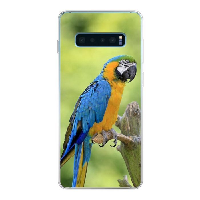 MuchoWow Handyhülle Blaukehlaras sitzen sich auf einem Ast gegenüber Phone Case Handyhülle Samsung Galaxy S10+ Silikon Schutzhülle FN11358