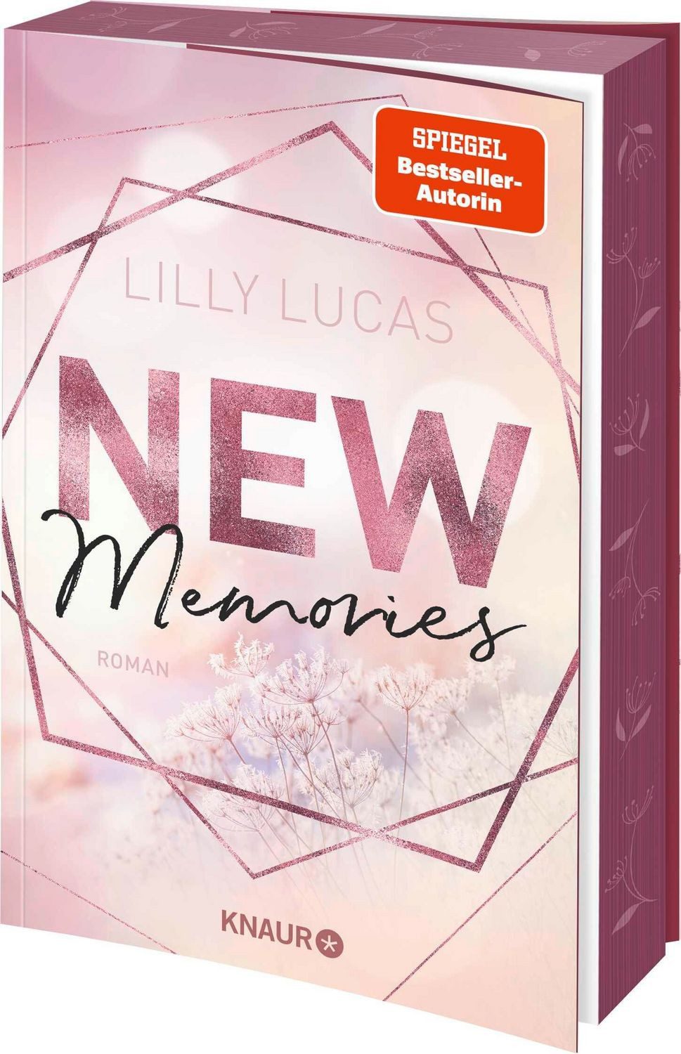 New Memories / Lilly Lucas
