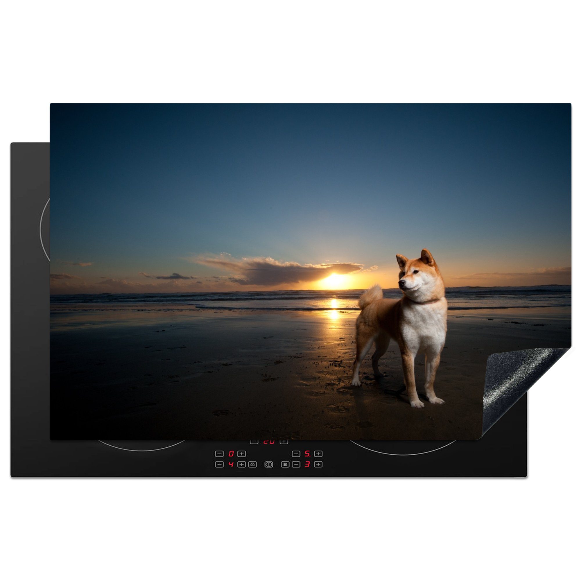 MuchoWow Herdblende-/Abdeckplatte Shiba-Hund bei Sonnenuntergang, Vinyl, (1 tlg), 81x52 cm, Induktionskochfeld Schutz für die küche, Ceranfeldabdeckung