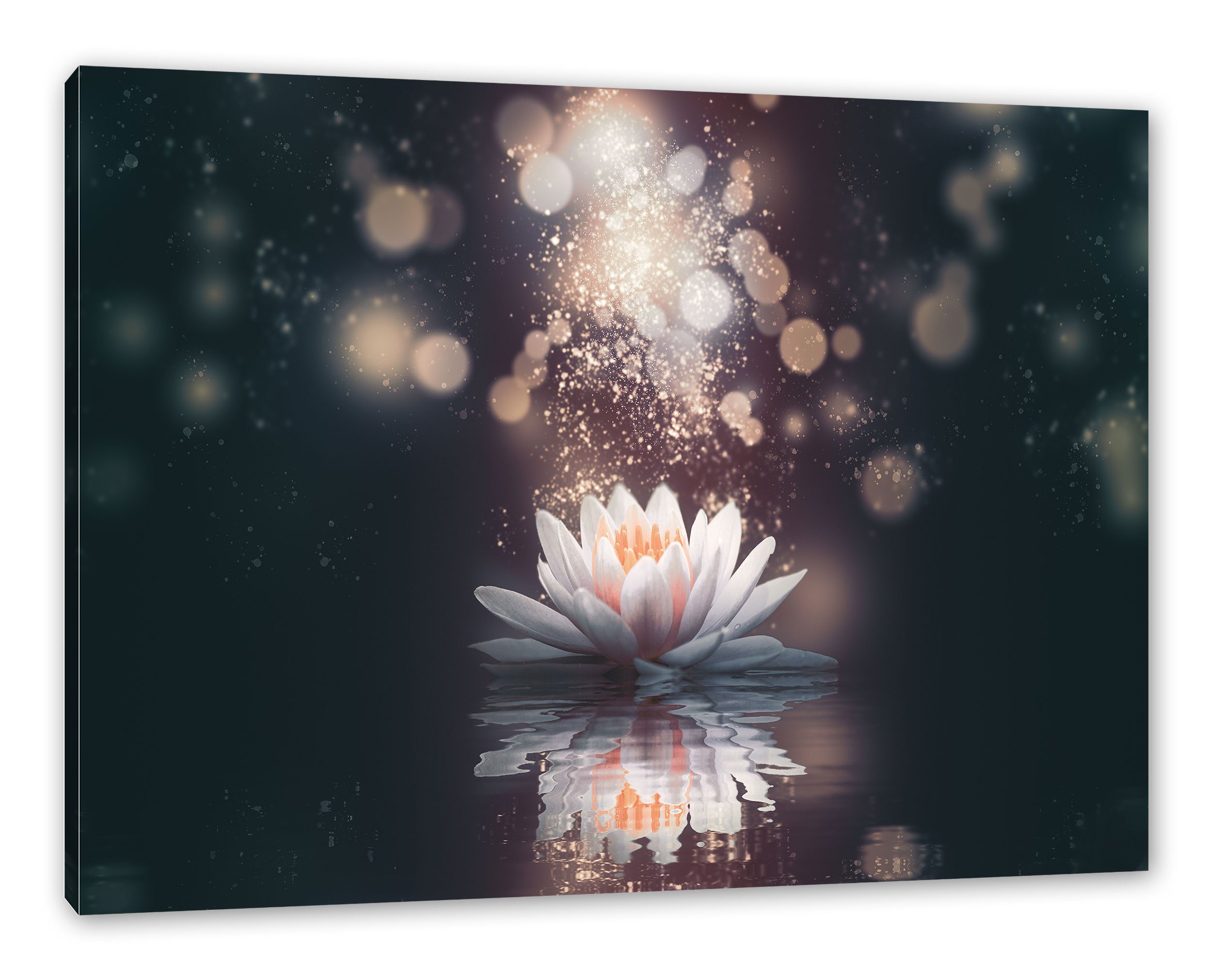 Pixxprint Leinwandbild Magische Lotusblüte mit Glitzerstaub, günstig online kaufen