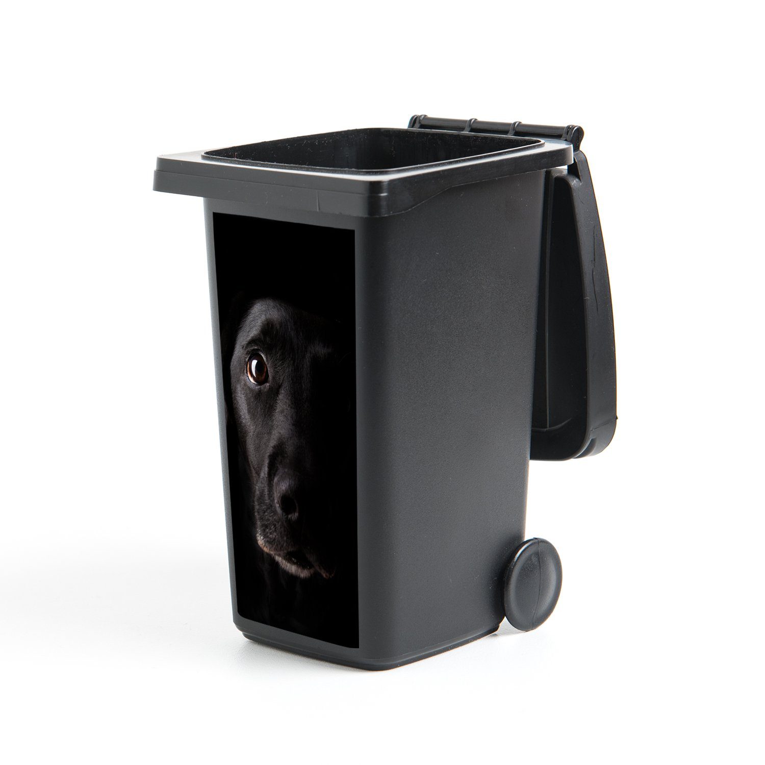 MuchoWow Wandsticker Ein schwarzer Labrador Retriever auf schwarzem