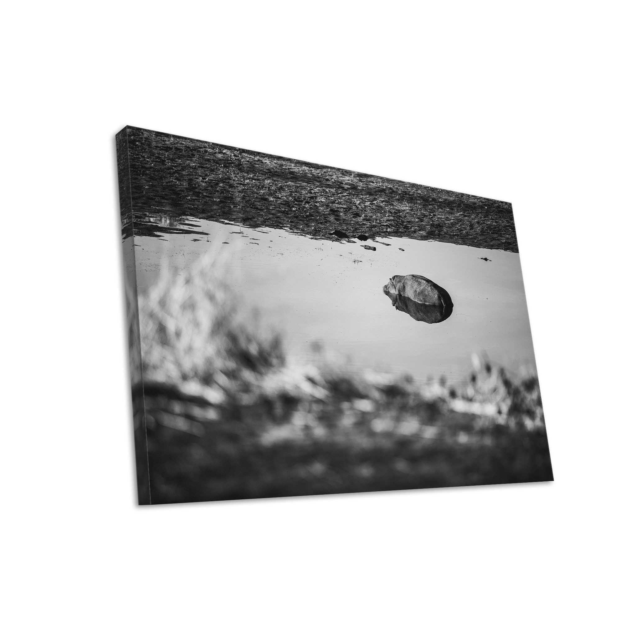 Hustling Sharks Leinwandbild Tier-Bild als XXL Leinwandbild "Stille Wasserfläche mit Flusspferd", in 5 unterschiedichen Größen verfügbar