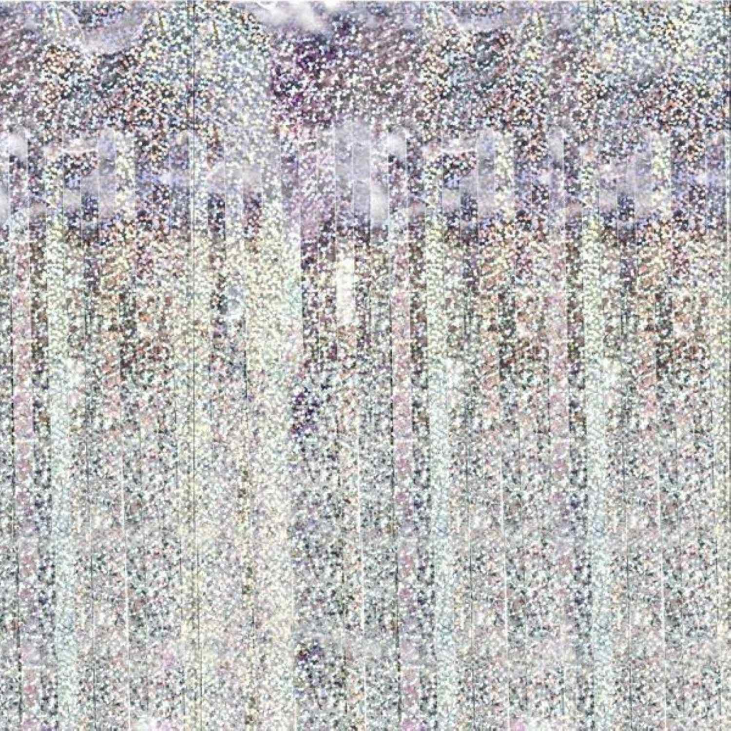 partydeco Hängedekoration Türvorhang Lametta 100x200cm, Holografisch