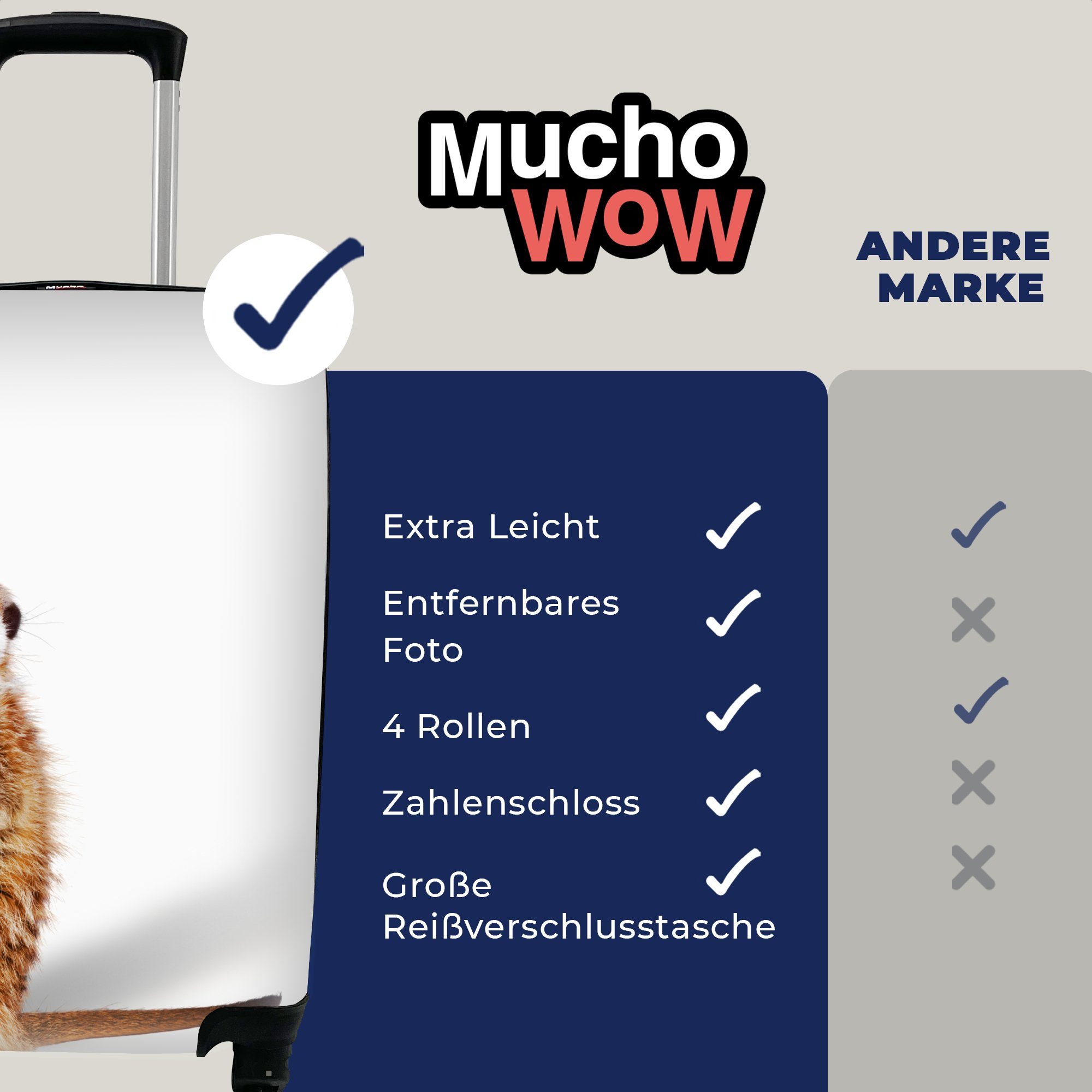 Reisekoffer Handgepäckkoffer mit - Handgepäck Erdmännchen 4 Reisetasche Fell, MuchoWow Tiere für Ferien, rollen, Trolley, - Rollen,