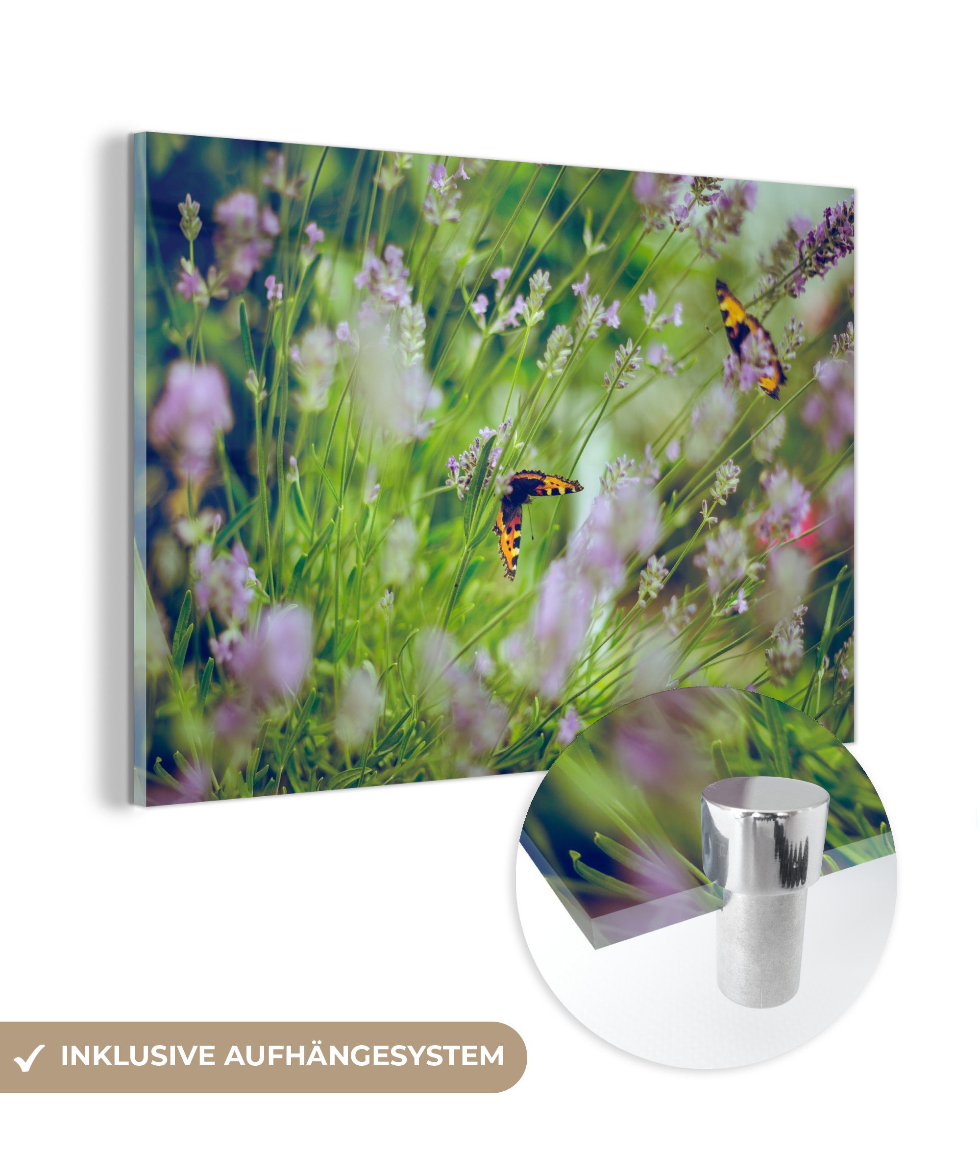 MuchoWow Acrylglasbild Lavendel - Schmetterlinge - Blumen, (1 St), Acrylglasbilder Wohnzimmer & Schlafzimmer | Bilder