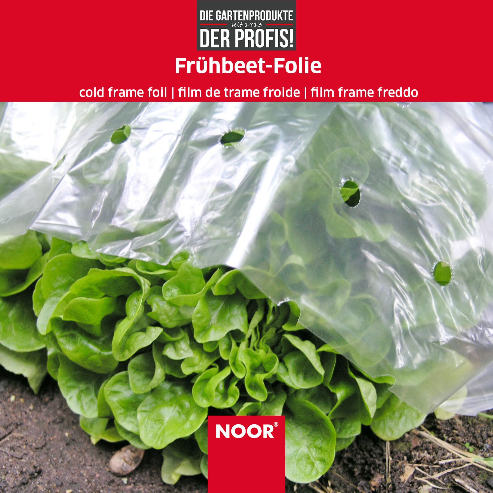 NOOR Frühbeet Folie für Anzucht von Pflanzen - 150 cm x 10 m gelocht, Frühbeetfolie fördert Pflanzenwachstum und Ernteertrag