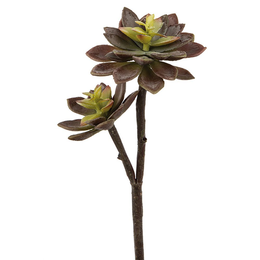 Kunstpflanze FINK Kunstblume Echeverie - grün-rot - H. 32cm, Fink