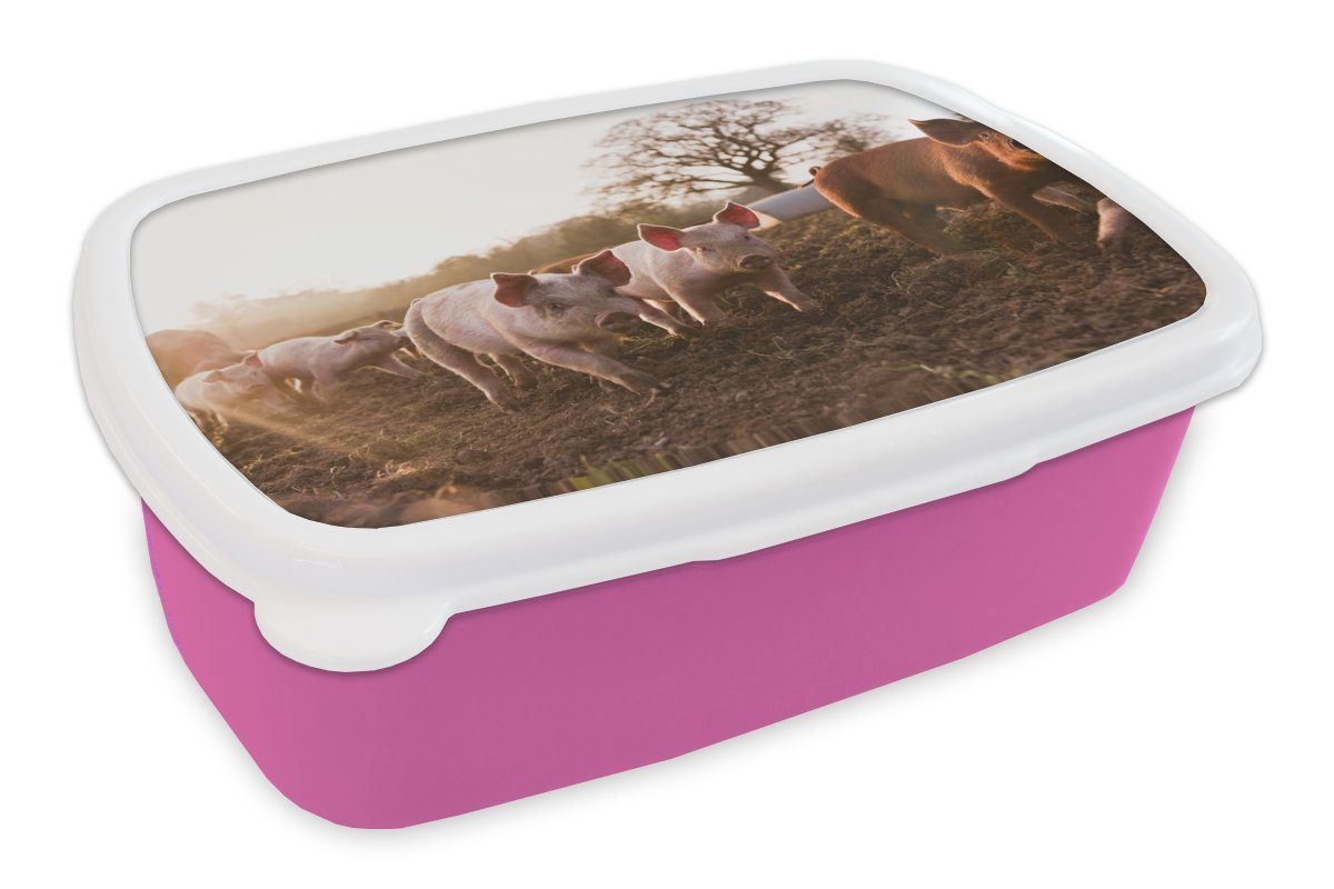 MuchoWow Lunchbox Schwein - Schlamm - Sonne, Kunststoff, (2-tlg), Brotbox für Erwachsene, Brotdose Kinder, Snackbox, Mädchen, Kunststoff rosa