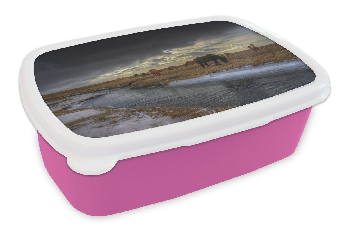 Kunststoff - - Lunchbox Pferde Snackbox, Eis für Brotbox Mädchen, Kunststoff, Brotdose MuchoWow (2-tlg), Kinder, rosa Erwachsene, Gras,
