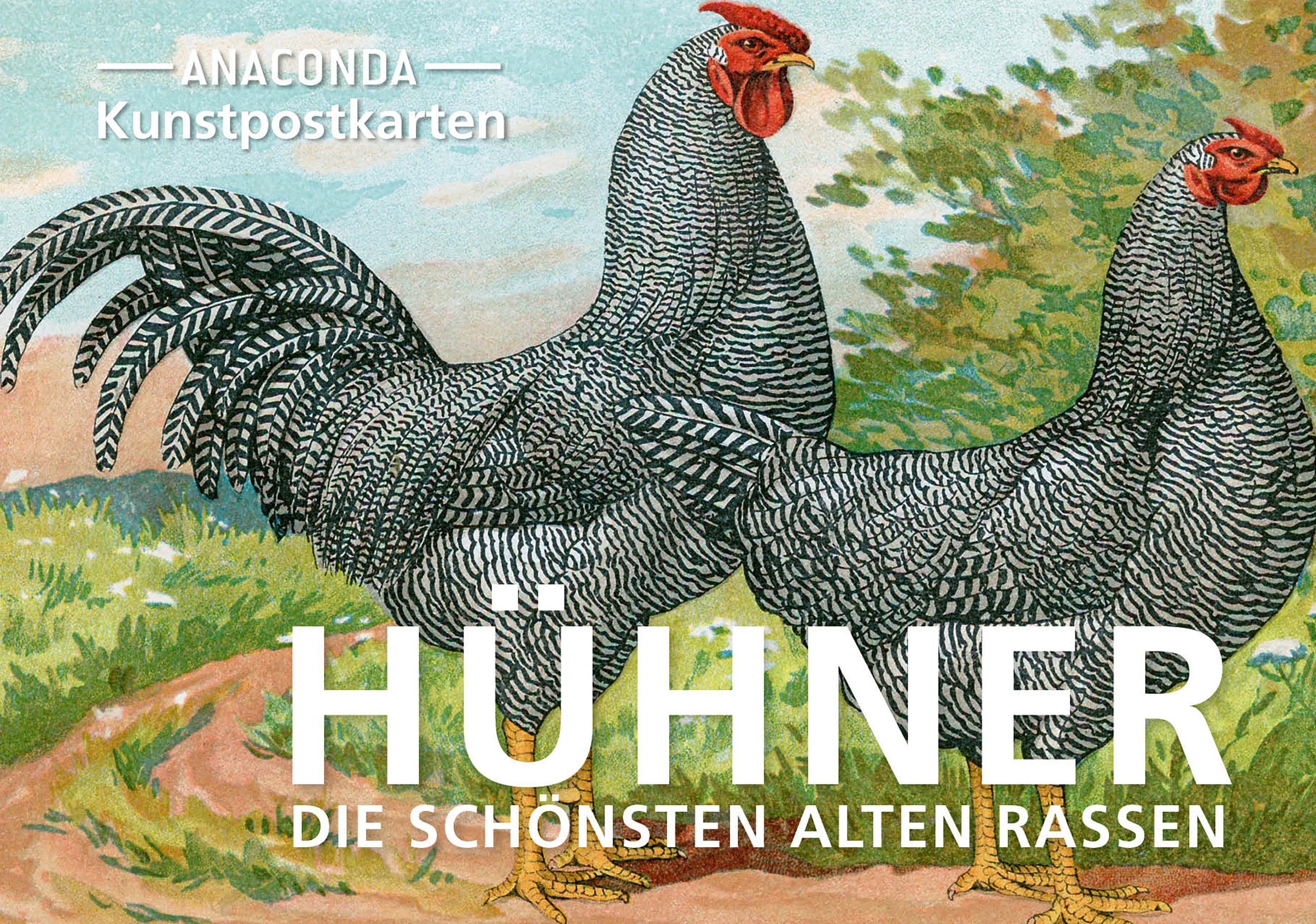 Anaconda Verlag Fotoalbum Postkarten-Set Hühner