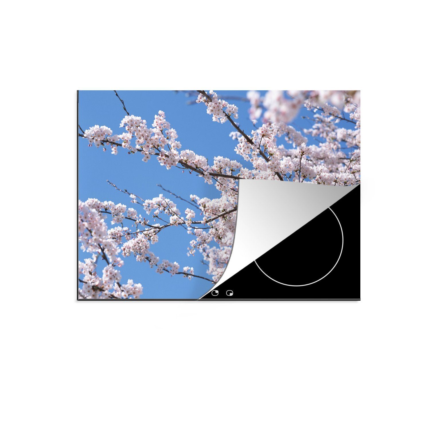 MuchoWow Herdblende-/Abdeckplatte Zweige mit Kirschblüte, Vinyl, (1 tlg), 70x52 cm, Mobile Arbeitsfläche nutzbar, Ceranfeldabdeckung