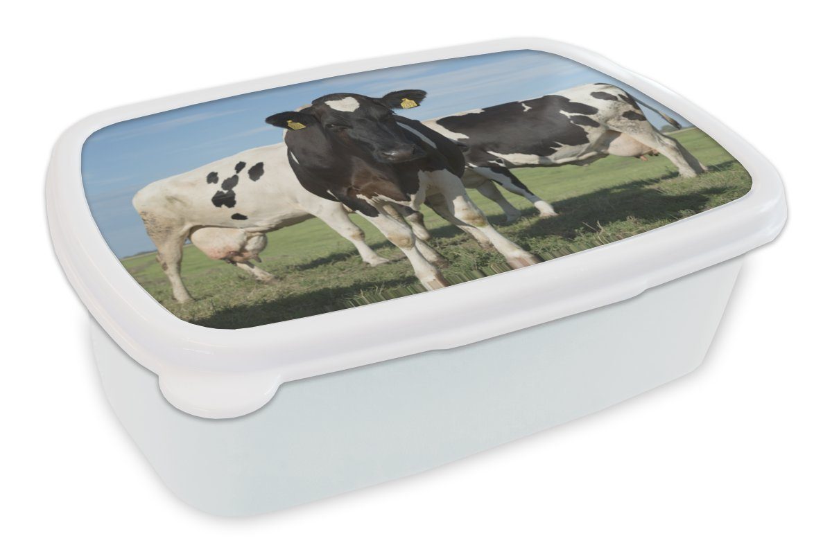 MuchoWow Lunchbox Kuh - Gras - Blau - Schatten, Kunststoff, (2-tlg), Brotbox für Kinder und Erwachsene, Brotdose, für Jungs und Mädchen weiß