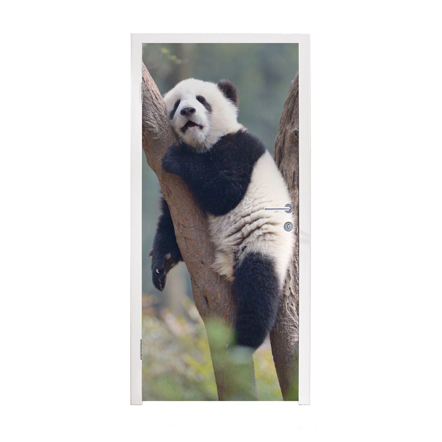 MuchoWow Türtapete Schlafendes Pandabärenjunges, Matt, bedruckt, (1 St), Fototapete für Tür, Türaufkleber, 75x205 cm