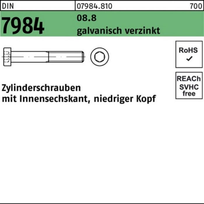 Reyher Zylinderschraube 100er Pack Zylinderschraube DIN 7984 Innen-6kt M12x55 8.8 galv.verz. 1