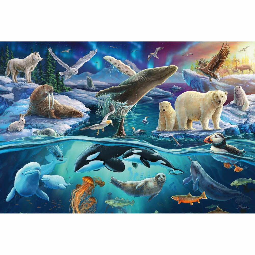 Schmidt Spiele Puzzle Tiere in der Arktis 150 Teile, 150 Puzzleteile