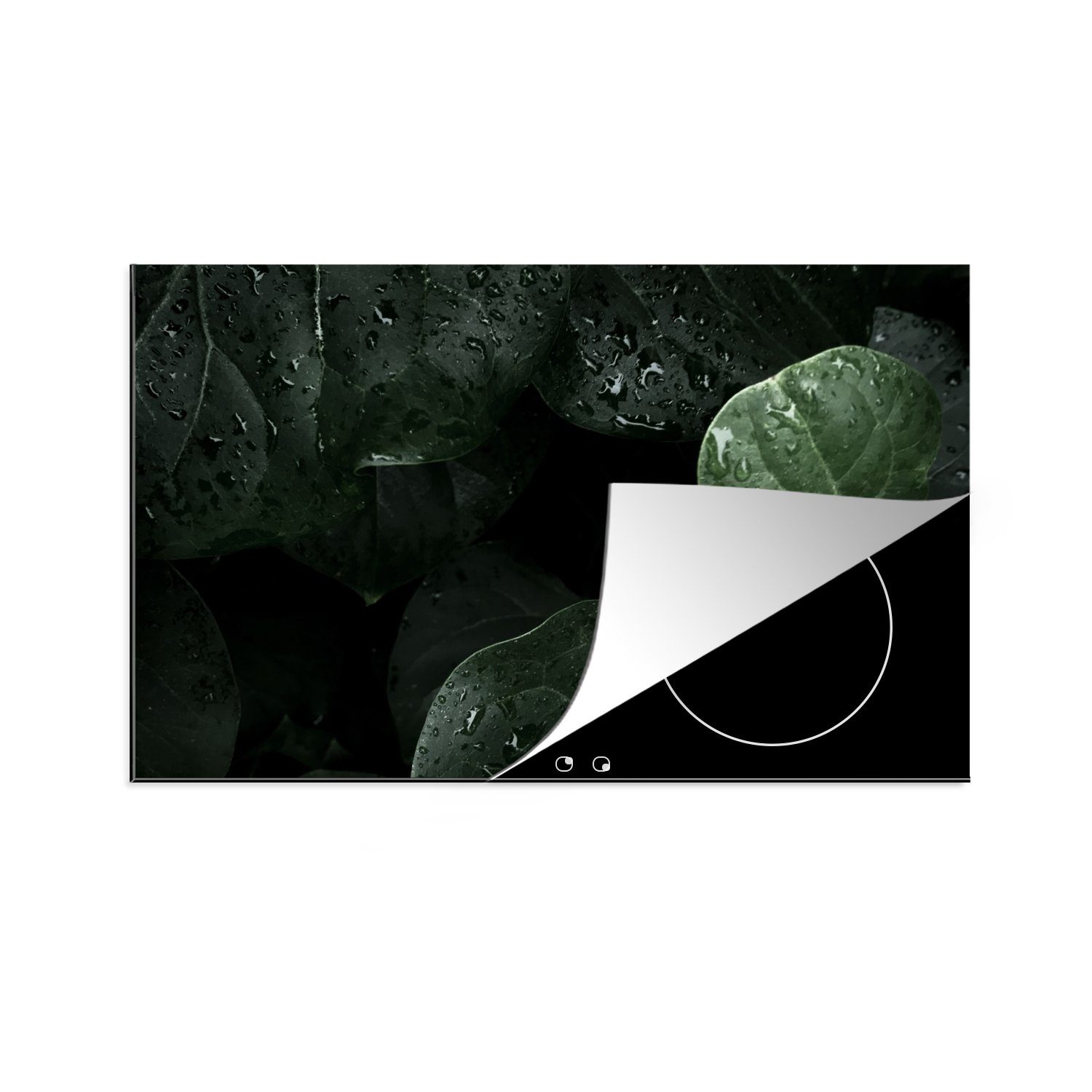 MuchoWow Herdblende-/Abdeckplatte Nahaufnahme von Ceranfeldabdeckung küche, Vinyl, (1 großen cm, Regentropfen Blättern, tlg), auf Schutz 81x52 die für Induktionskochfeld