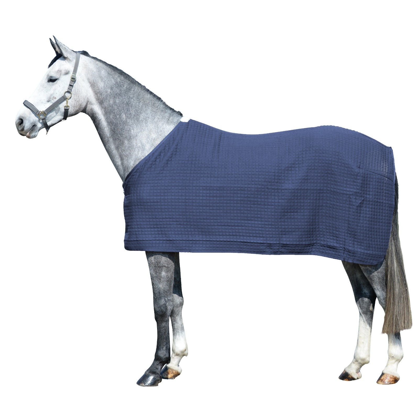 Pferde-Abschwitzdecke Pferdedecke Climatherm III, Regular - Navy, S 125 cm