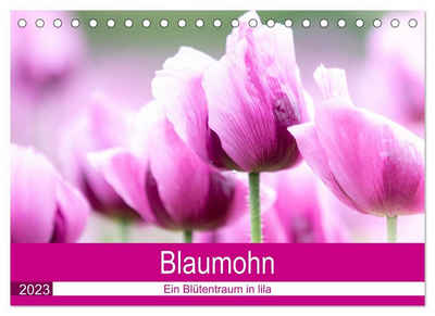 CALVENDO Wandkalender »Blaumohn - Ein Blütentraum in lila (Tischkalender 2023 DIN A5 quer)«