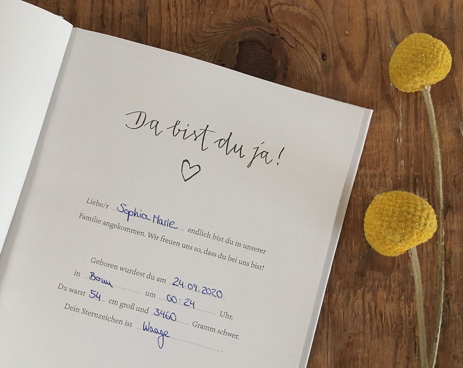 Verlag Tagebuch für Mädchen, ja! bist Diary Hardcover Unsere A5, Eintragen Da Geburtsgeschenk für für Zeit, der du weiß Babytagebuch Guten gemeinsame erste zum Lebensjahr, 1. Eine erste das & Premium Jahr, Baby Jungen rosa das