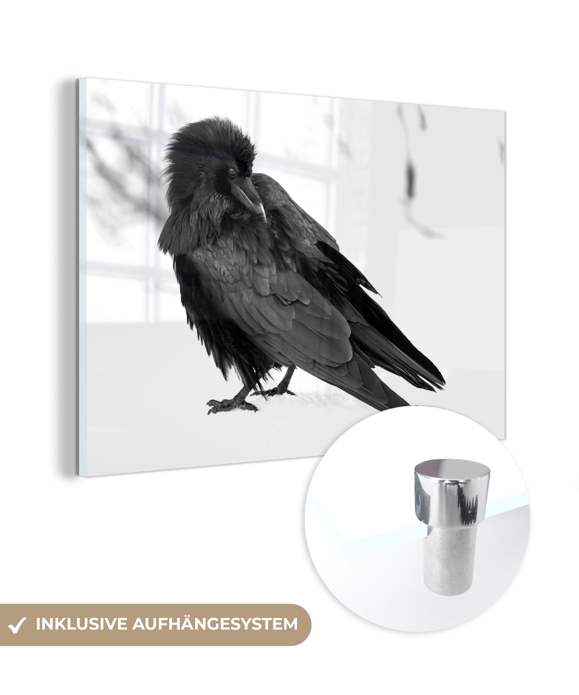 MuchoWow Acrylglasbild Schwarzer Rabe ruhend im Schnee - schwarz und weiß, (1 St), Acrylglasbilder Wohnzimmer & Schlafzimmer