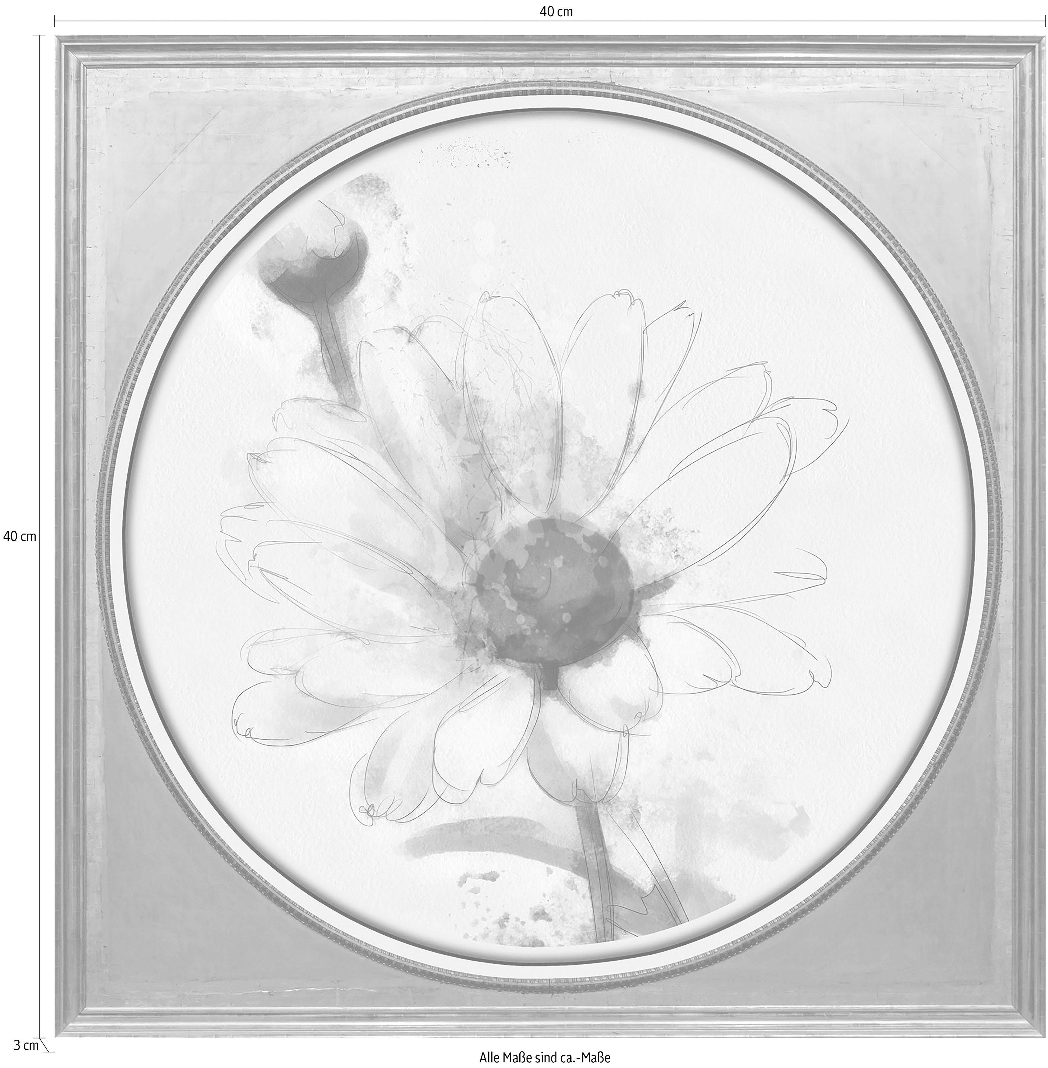 Acrylglasbild Blüte Weiße queence