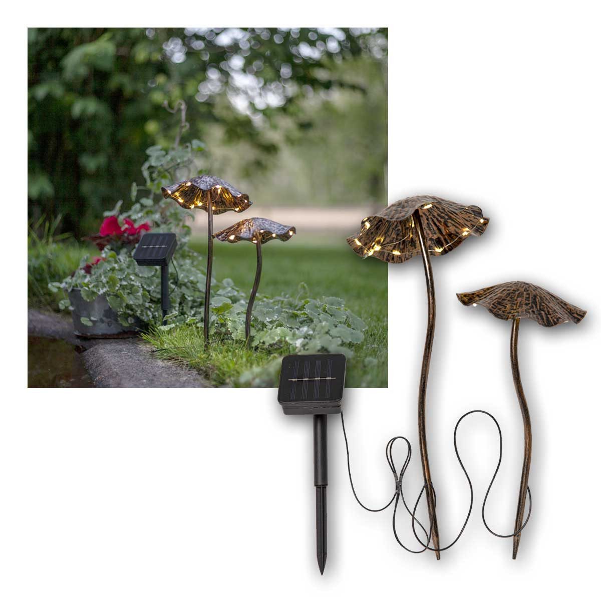 STAR TRADING LED Solarleuchte LED Solar-Figur "Lumini", warmweiß, 50x37cm, IP44