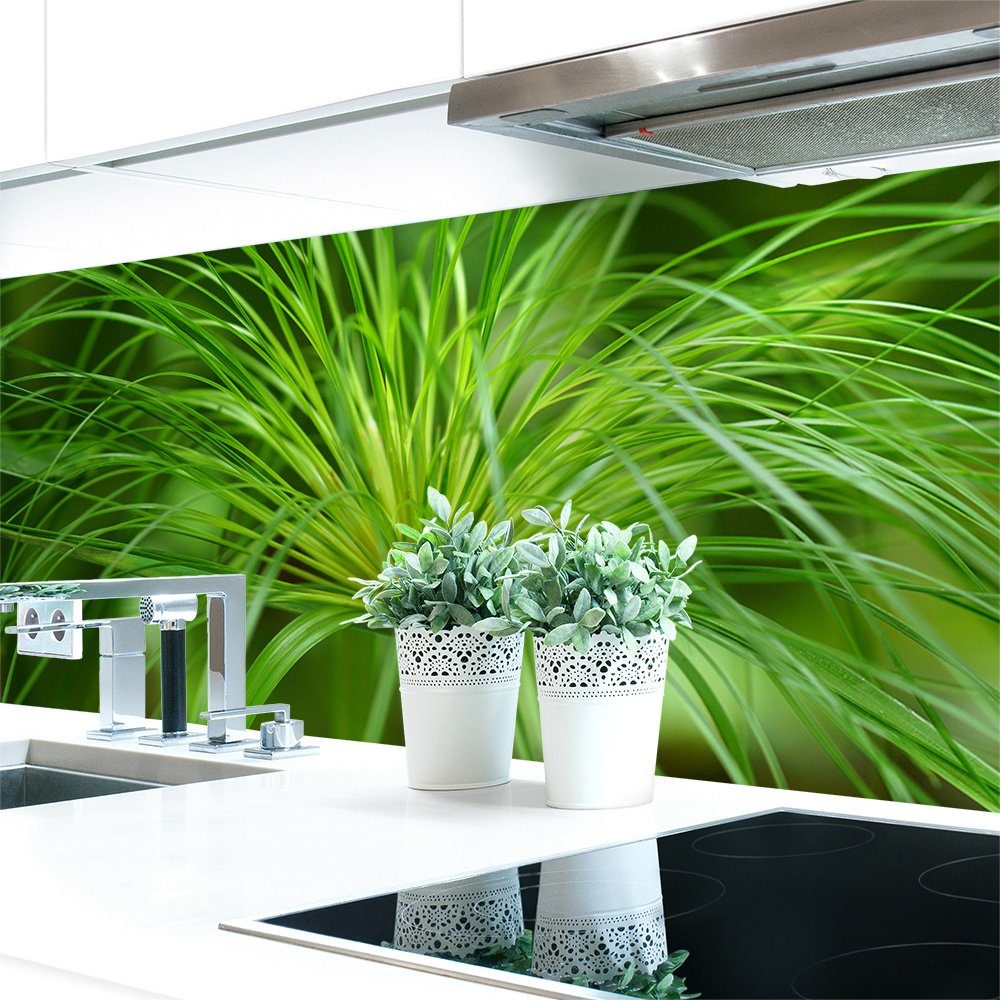DRUCK-EXPERT Küchenrückwand Küchenrückwand Papyrus Pflanze Hart-PVC 0,4 mm selbstklebend