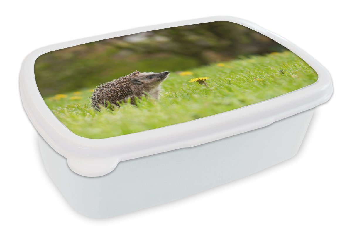 MuchoWow Lunchbox Igel - Blume - Frühling, Kunststoff, (2-tlg), Brotbox für Kinder und Erwachsene, Brotdose, für Jungs und Mädchen weiß