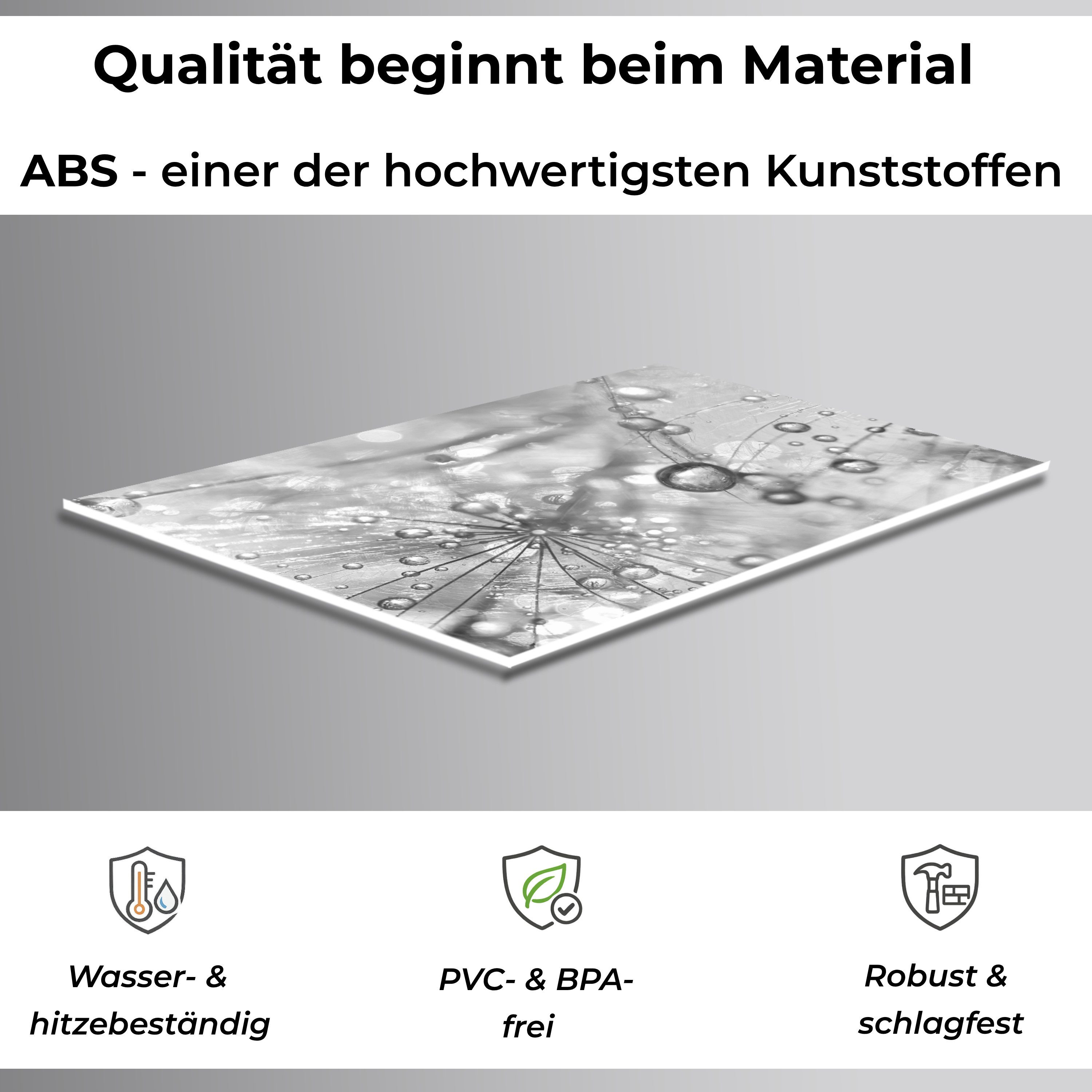 Rodnik Küchenrückwand Pusteblumen, monolithische ABS-Platte mit Direktdruck, formstabil und langlebig