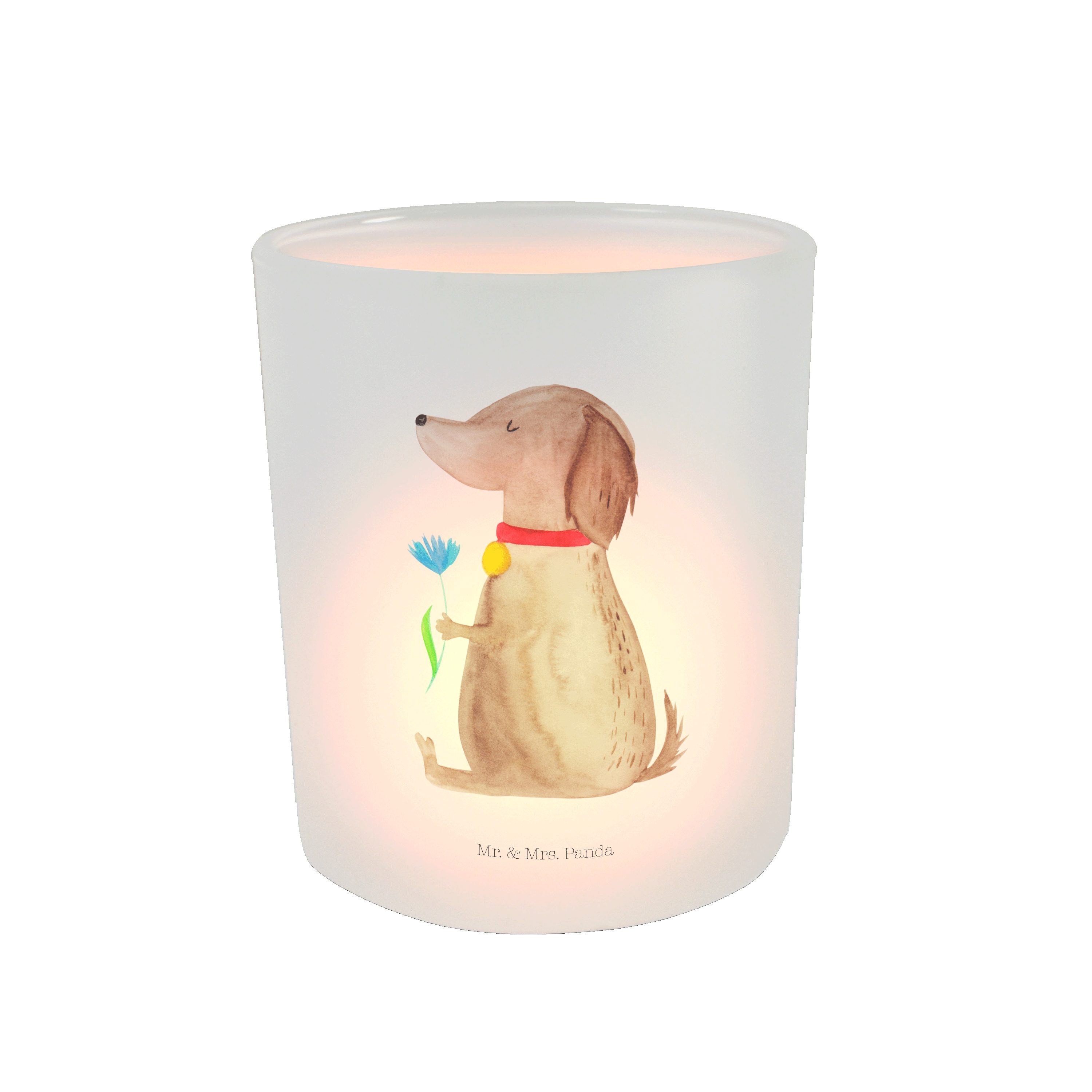 Mr. & Mrs. Panda Windlicht Hund Blume - Transparent - Geschenk, Haustier, niedlich, Hundeliebe, (1 St)