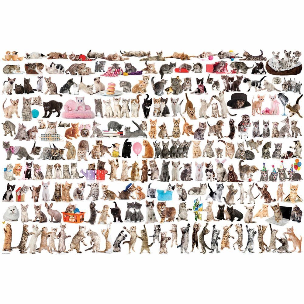 der 2000 Welt Puzzle Katzen, Puzzleteile EUROGRAPHICS