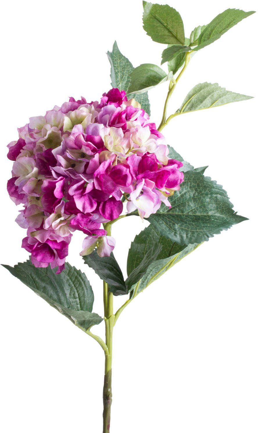 hier Daumen ohne bleiben Hortensie, 94 schön cm, Höhe die Kunstblume Hortensie Blüten grünen Botanic-Haus, Auch