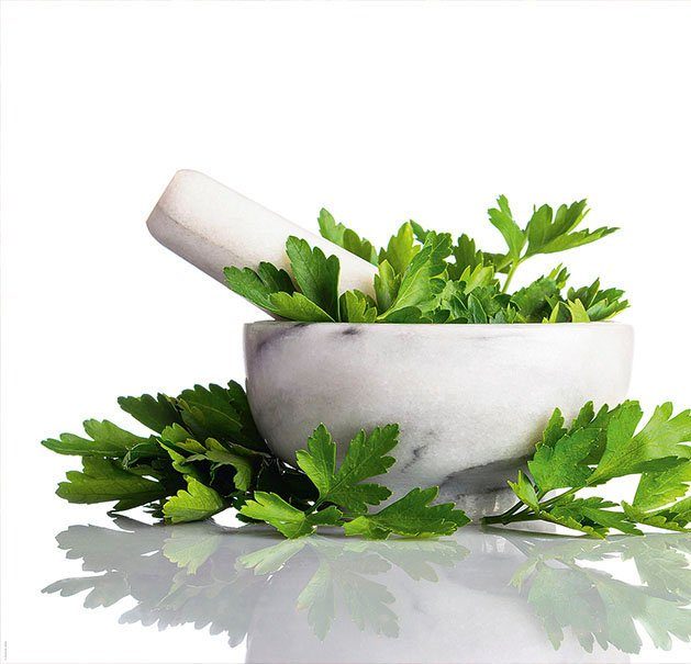 Express Küchen Küchenrückwand Kräuter, (1-tlg)