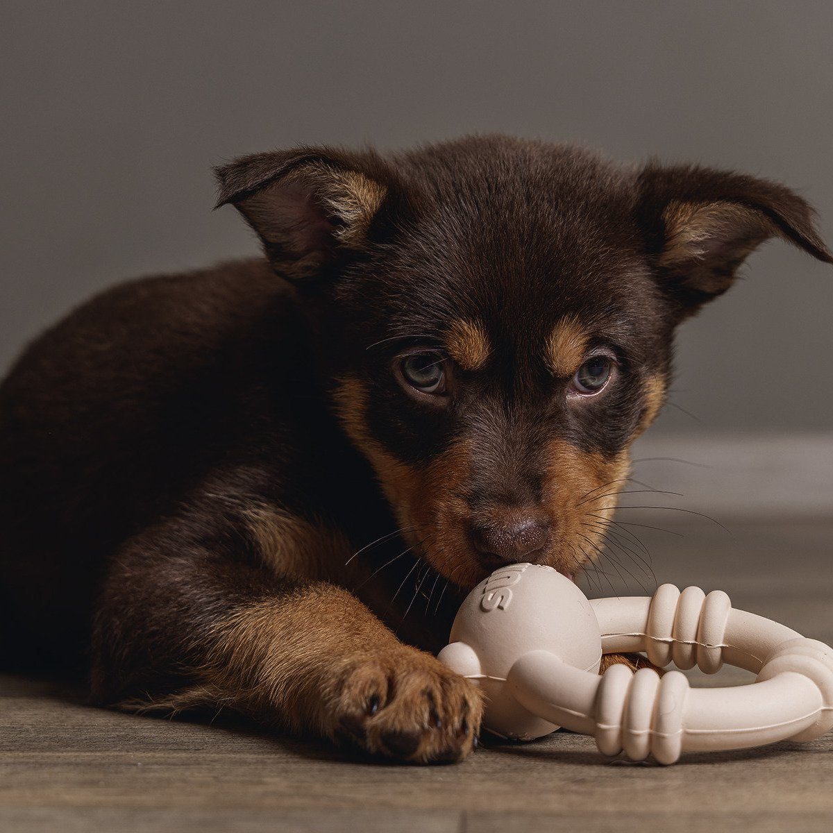 Beeztees Kauspielzeug Sumo Mini Puppy Spielzeug Team rosa