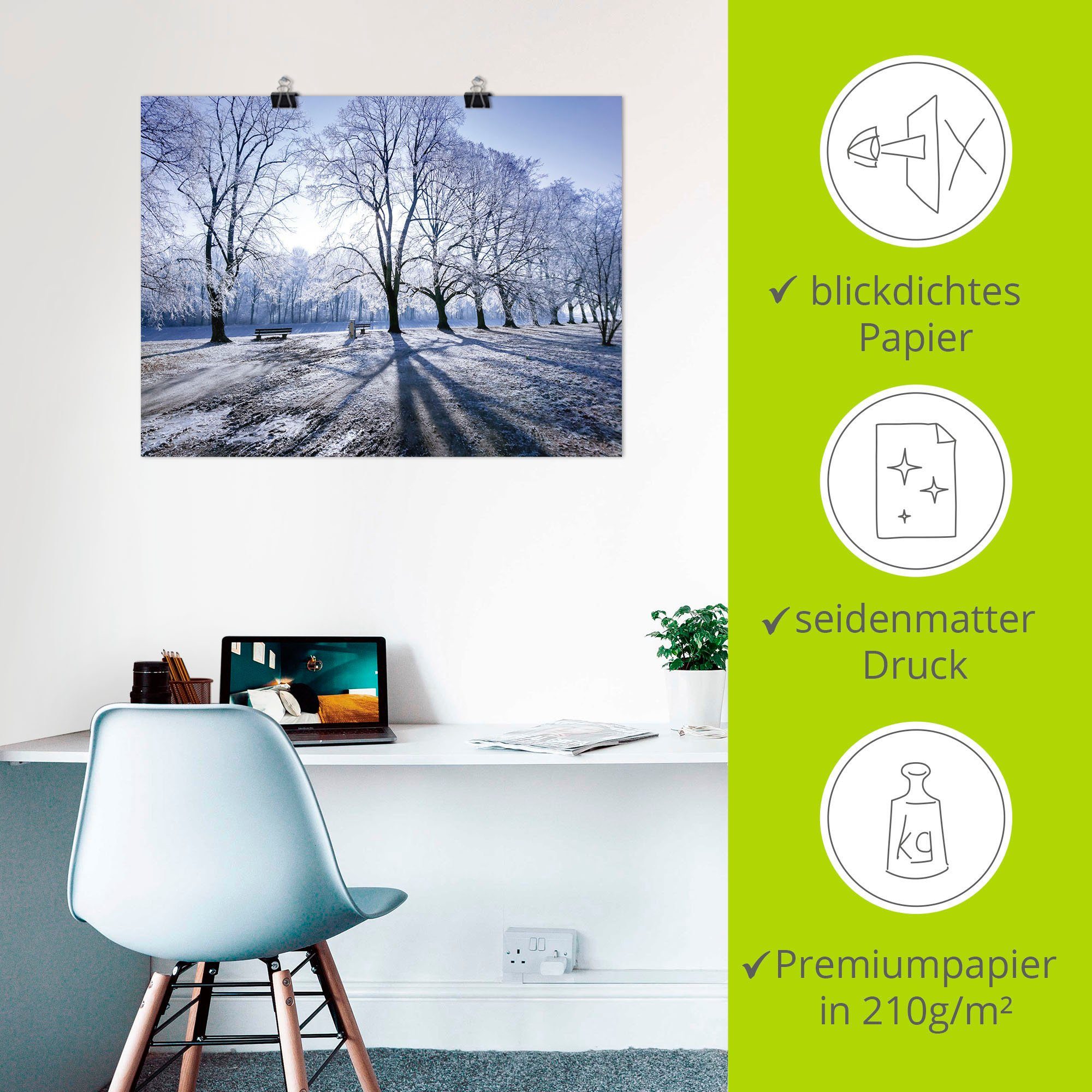 Artland Wandbild Wintertraum. Licht Baumbilder im Wiesen Größen (1 Schatten in & Leinwandbild, Alubild, Winter, oder versch. St), Poster Wandaufkleber & als