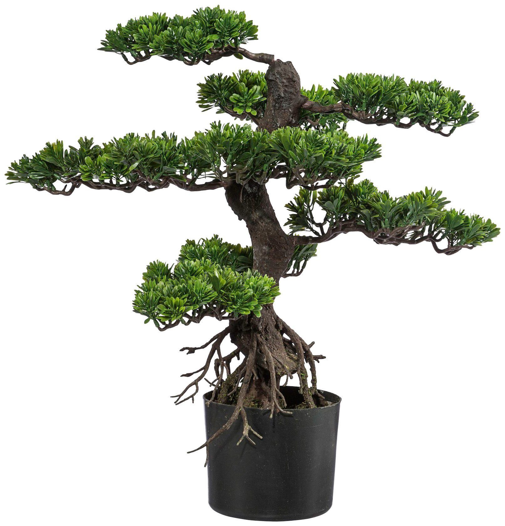 Kunstbonsai Bonsai Bonsai, Creativ green, Höhe 75 cm günstig online kaufen