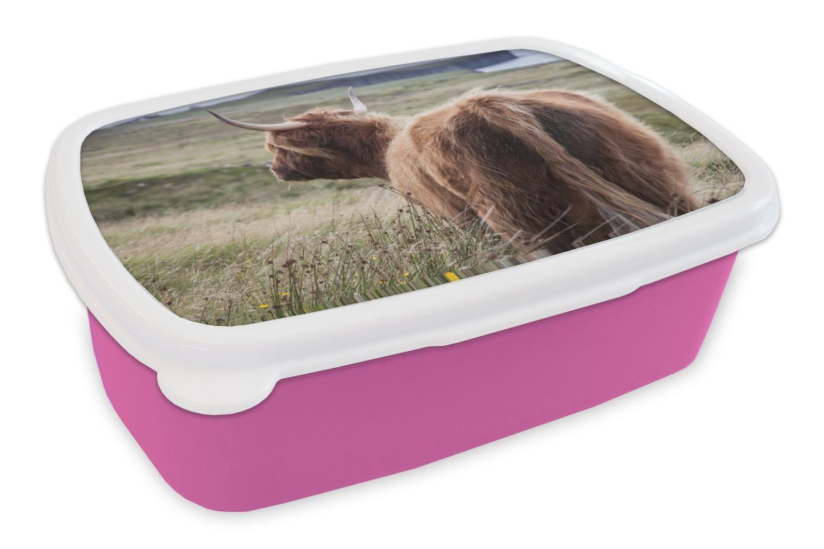 MuchoWow Lunchbox Schottische Highlander - Natur - Meer, Kunststoff, (2-tlg), Brotbox für Erwachsene, Brotdose Kinder, Snackbox, Mädchen, Kunststoff rosa