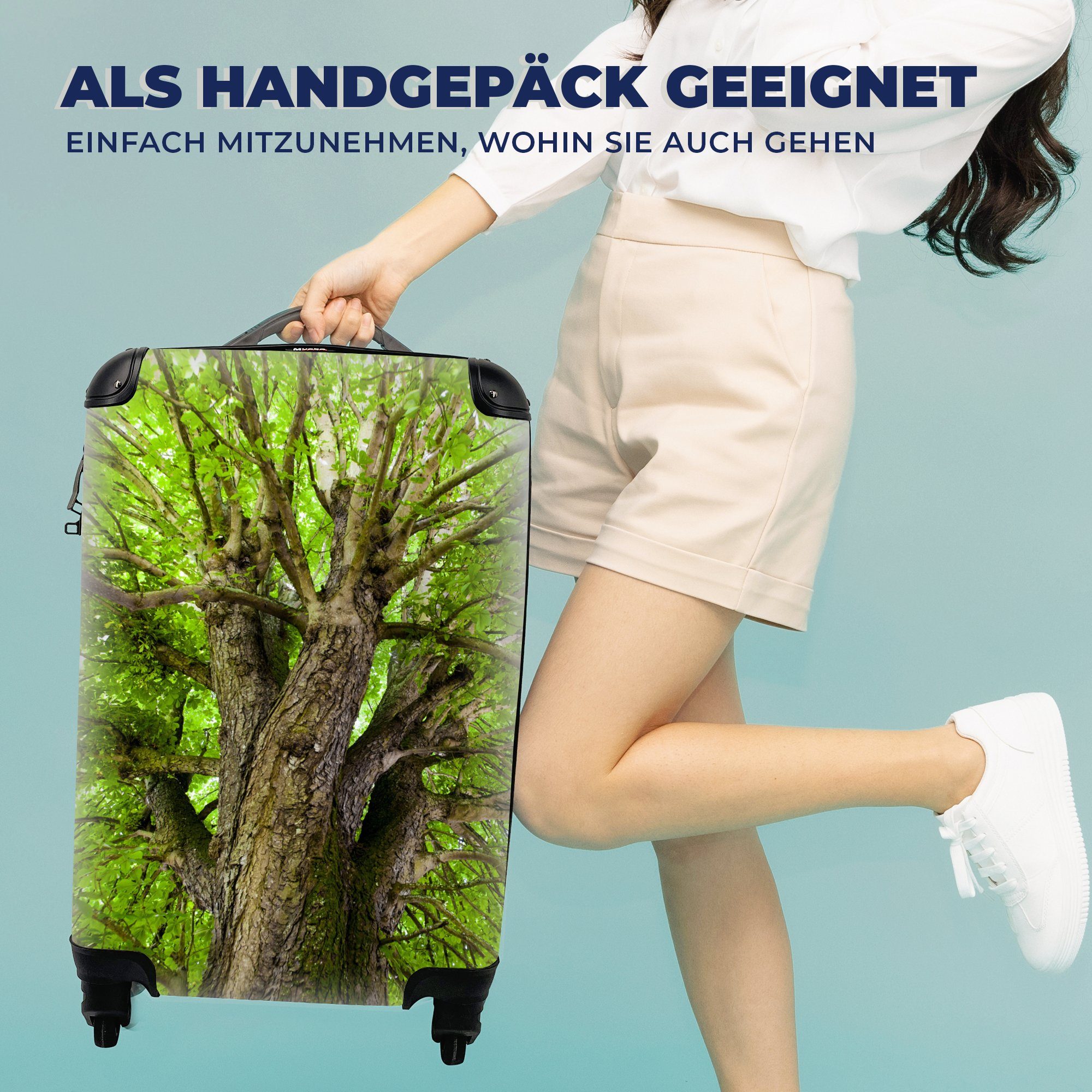 Handgepäckkoffer für Ein Sommer, im Handgepäck Reisetasche Kastanienbaum rollen, 4 Trolley, Reisekoffer Rollen, Ferien, mit MuchoWow