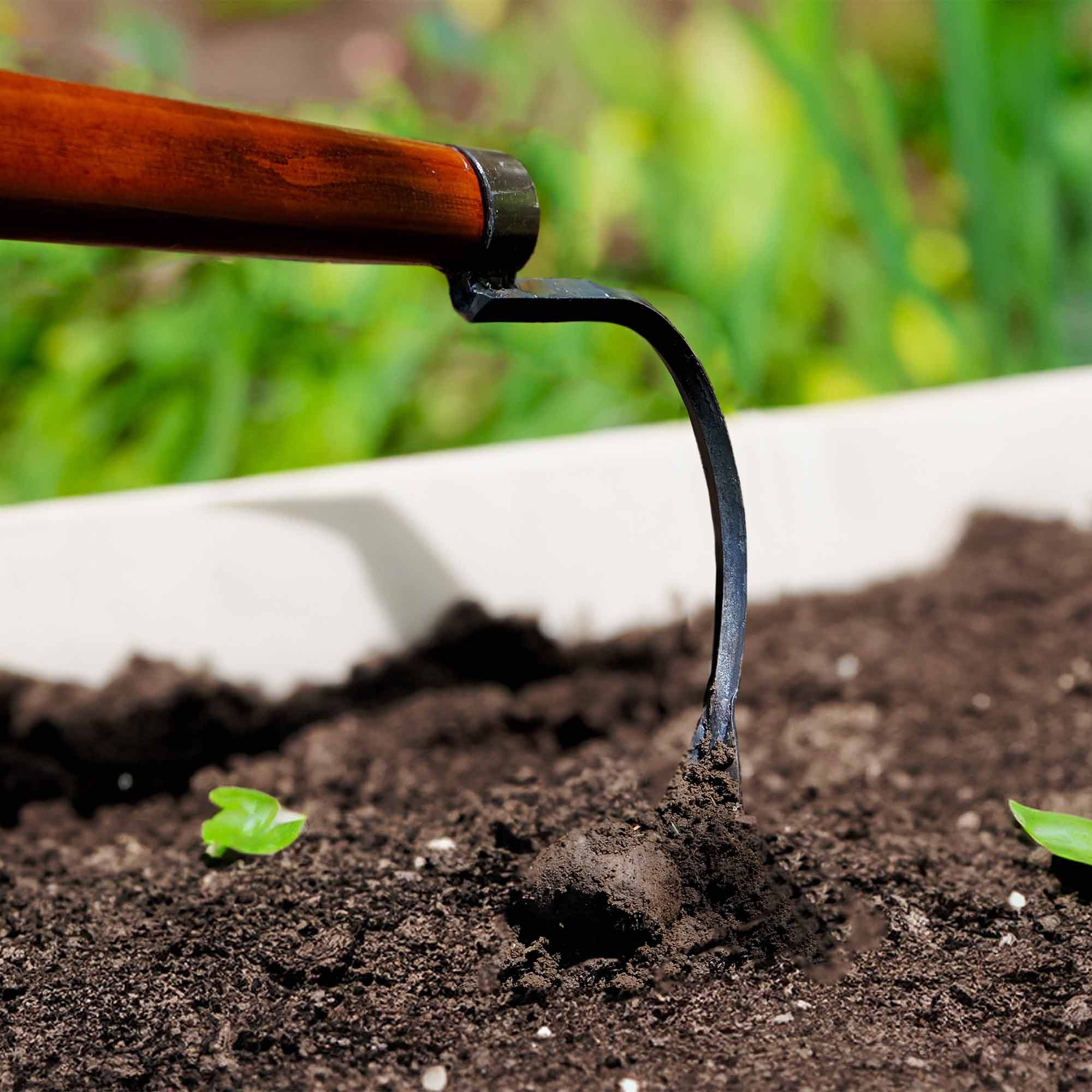 SHW Gartenhacke SHW Bio-Sauzahn mit Eschenstiel günstig online kaufen