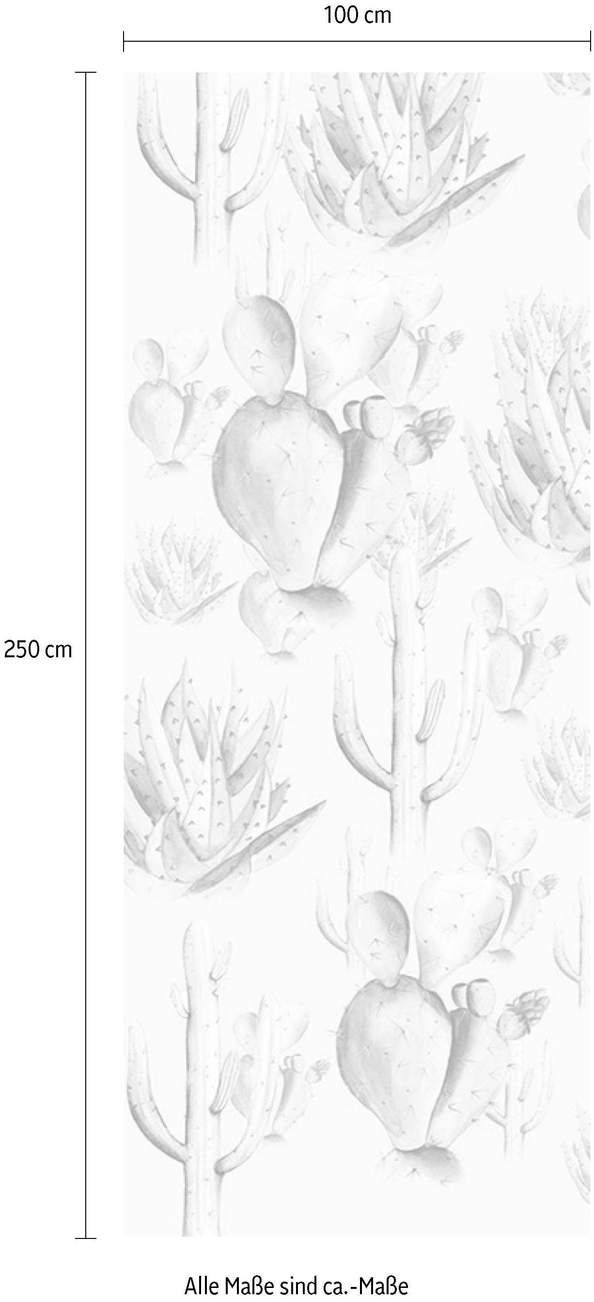 Komar Vliestapete, 100 (Breite (1 Vliestapete, x Höhe), cm St), Bahnbreite