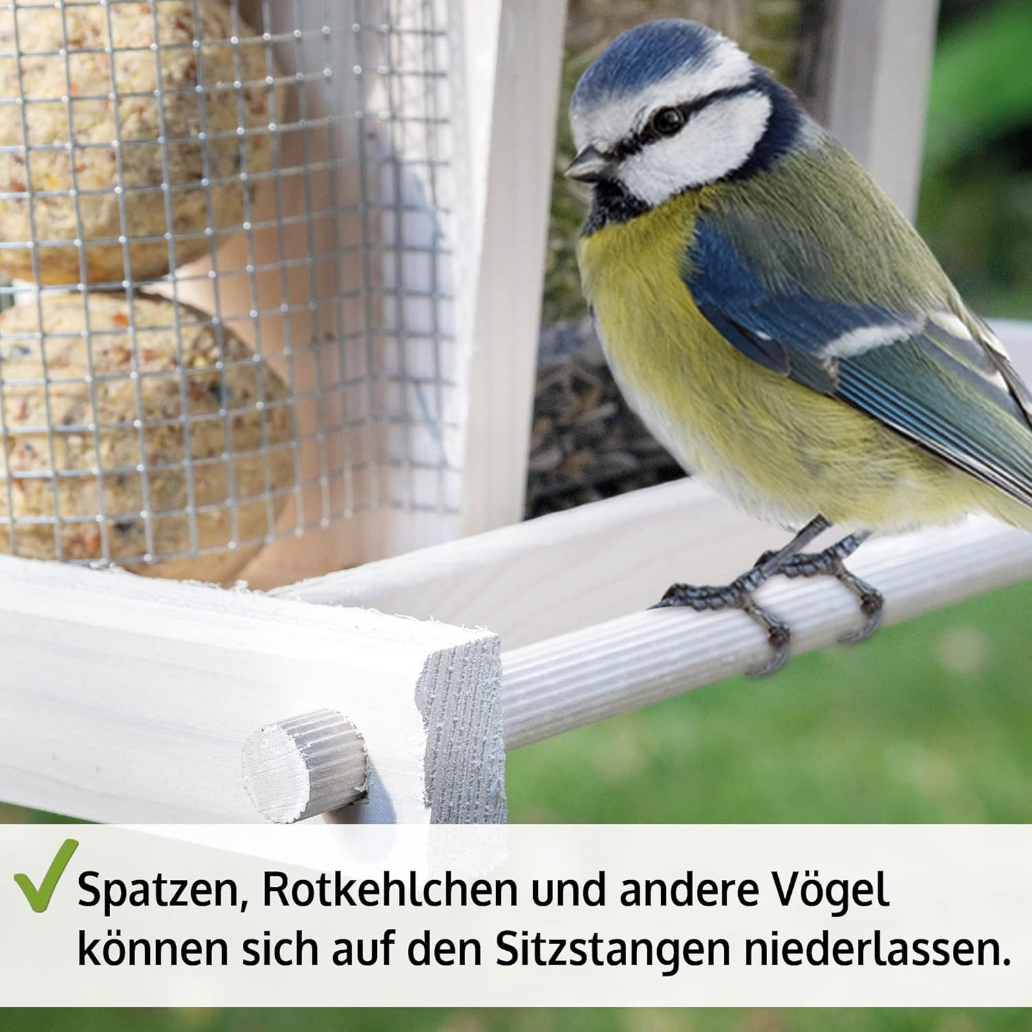 Zooprinz Vogelhaus zum aufhängen mit Sitzstangen, Schutzdach, Seil für Wildvögel, Plexiglasscheiben, wetterfestes Vollholz