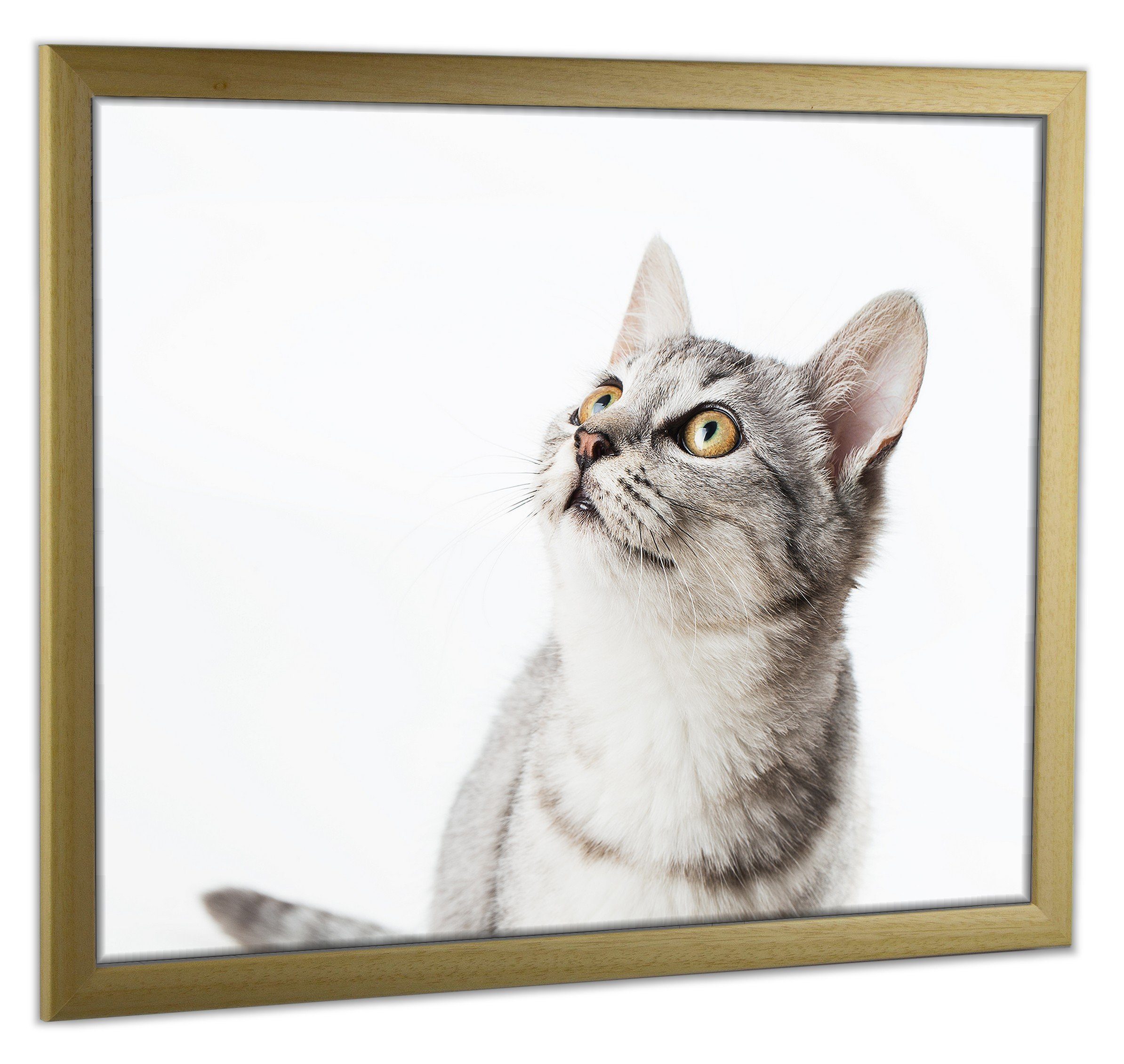 myposterframe Einzelrahmen Bilderrahmen Cupid Bunt, (1 günstig online kaufen